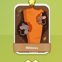 Nibbles