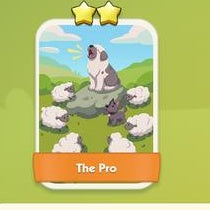 The Pro