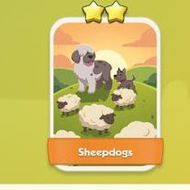 Sheepdogs
