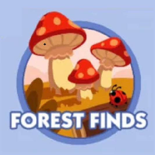 Set 10 FOREST FINDS Monopoly Go Sticker